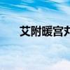 艾附暖宮丸（關于艾附暖宮丸的介紹）