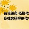 昔我往矣,楊柳依依,今我來思,雨雪霏霏的意思出自哪（“昔我往矣楊柳依依今我來思雨雪霏霏”什么意思）