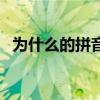 為什么的拼音（關于為什么的拼音的介紹）