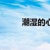 潮濕的心（關于潮濕的心的介紹）