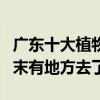 廣東十大植物園（廣東好玩的植物園有哪些周末有地方去了）