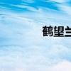鶴望蘭（關于鶴望蘭的介紹）