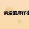親愛的麻洋街（關于親愛的麻洋街的介紹）
