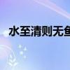 水至清則無魚（關于水至清則無魚的介紹）