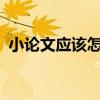 小論文應該怎么寫（格式一般是什么樣的?）