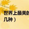 世界上最美的貝類（十大最好看的貝類你見過幾種）