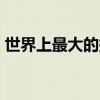 世界上最大的搜索引擎Google也似乎很高興