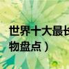 世界十大最長壽動物（世界上生命值最長的動物盤點）