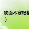 吹面不寒楊柳風（關于吹面不寒楊柳風的介紹）