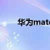 華為mate（關于華為mate的介紹）