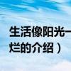 生活像陽光一樣燦爛（關于生活像陽光一樣燦爛的介紹）