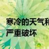 寒冷的天氣和短距離的行駛會對汽車電池造成嚴重破壞