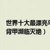 世界十大最漂亮烏龜（全球最漂亮烏龜盤點第一個因其絢麗背甲瀕臨滅絕）