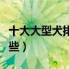 十大大型犬排名（大型犬種類大全大型犬有哪些）