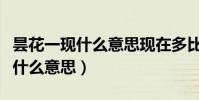 曇花一現什么意思現在多比喻什么(曇花一現什么意思)