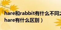 hare和rabbit有什么不同之處如題(rabbit/hare有什么區別)