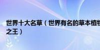 世界十大名草(世界有名的草本植物有哪些人參被視為百草之王)