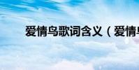 愛情鳥歌詞含義(愛情鳥歌詞全文)