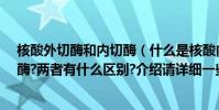 核酸外切酶和內切酶(什么是核酸內切酶?什么是核酸外切酶?兩者有什么區別?介紹請詳細一些.)