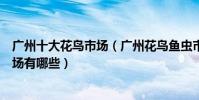 廣州十大花鳥市場(廣州花鳥魚蟲市場在哪廣州大型花鳥市場有哪些)