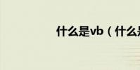 什么是vb(什么是vb)