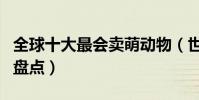 全球十大最會賣萌動物(世界上最可愛的動物盤點)
