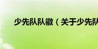 少先隊隊徽(關于少先隊隊徽的介紹)