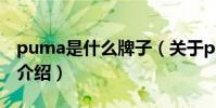 puma是什么牌子(關于puma是什么牌子的介紹)