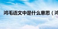 鴻毛語文中是什么意思(鴻毛是什么意思)