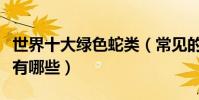 世界十大綠色蛇類(常見的綠色蛇綠色的蛇都有哪些)