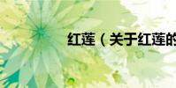 紅蓮(關于紅蓮的介紹)