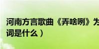 河南方言歌曲《弄啥咧》為什么爆紅網絡(歌詞是什么)