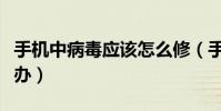 手機中病毒應該怎么修(手機中病毒應該怎么辦)