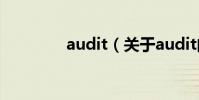 audit(關于audit的介紹)