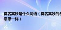 莫名其妙是什么詞語(莫名其妙的名的意思和哪個成語的名意思一樣)