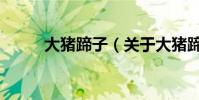 大豬蹄子(關于大豬蹄子的介紹)