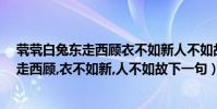 煢煢白兔東走西顧衣不如新人不如故的意思(煢煢白兔,,東走西顧,衣不如新,人不如故下一句)