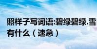 照樣子寫詞語:碧綠碧綠.雪白雪白.金黃金黃還有什么(速急)