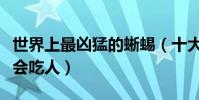世界上最兇猛的蜥蜴(十大最兇殘的蜥蜴榜首會吃人)