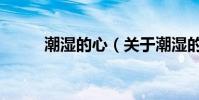 潮濕的心(關于潮濕的心的介紹)
