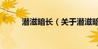 潛滋暗長(關于潛滋暗長的介紹)