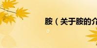 胺(關于胺的介紹)
