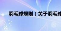 羽毛球規則(關于羽毛球規則的介紹)