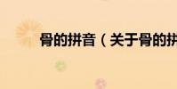 骨的拼音(關于骨的拼音的介紹)