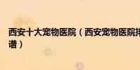 西安十大寵物醫院(西安寵物醫院排名西安動物醫院哪個靠譜)
