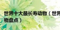 世界十大最長壽動物(世界上生命值最長的動物盤點)