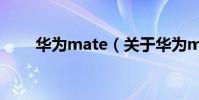 華為mate(關于華為mate的介紹)