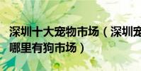 深圳十大寵物市場(深圳寵物市場在哪里深圳哪里有狗市場)