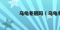 烏龜冬眠嗎(烏龜冬眠嗎?)