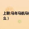 上聯:馬年馬航馬伊俐（下聯:失望失聯失珍惜!橫批:應該是什么）